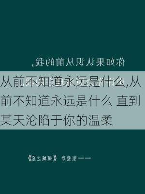 从前不知道永远是什么,从前不知道永远是什么 直到某天沦陷于你的温柔