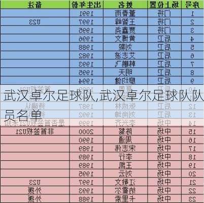 武汉卓尔足球队,武汉卓尔足球队队员名单