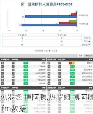 热罗姆 博阿滕,热罗姆 博阿滕 fm数据