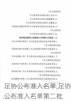 足协公布准入名单,足协公布准入名单第二批