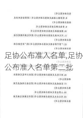 足协公布准入名单,足协公布准入名单第二批