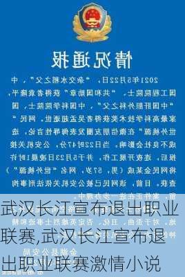 武汉长江宣布退出职业联赛,武汉长江宣布退出职业联赛激情小说