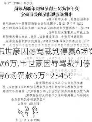 韦世豪因辱骂裁判停赛6场罚款6万,韦世豪因辱骂裁判停赛6场罚款6万123456