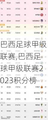 巴西足球甲级联赛,巴西足球甲级联赛2023积分榜