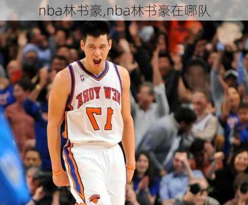 nba林书豪,nba林书豪在哪队