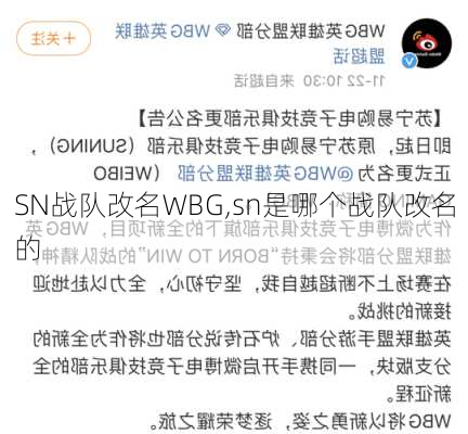 SN战队改名WBG,sn是哪个战队改名的