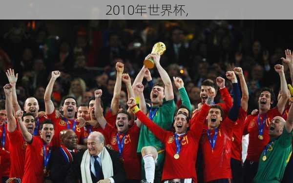 2010年世界杯,