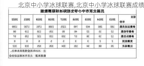 北京中小学冰球联赛,北京中小学冰球联赛成绩