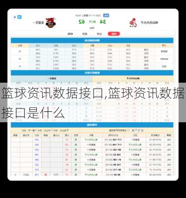 篮球资讯数据接口,篮球资讯数据接口是什么