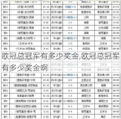 欧冠总冠军有多少奖金,欧冠总冠军有多少奖金啊