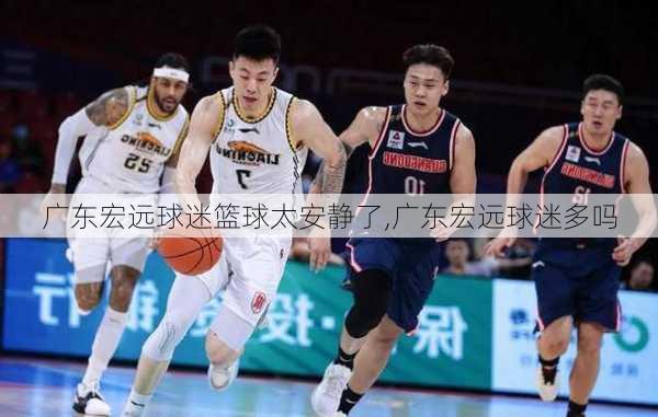 广东宏远球迷篮球太安静了,广东宏远球迷多吗