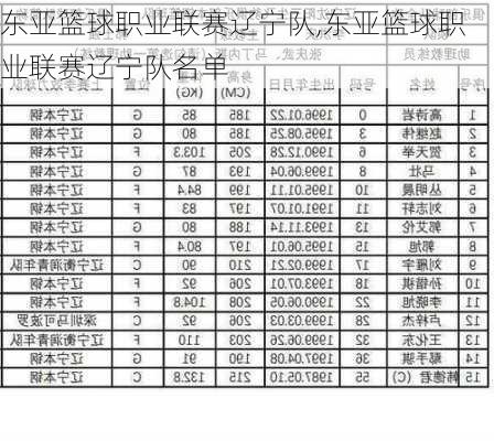 东亚篮球职业联赛辽宁队,东亚篮球职业联赛辽宁队名单