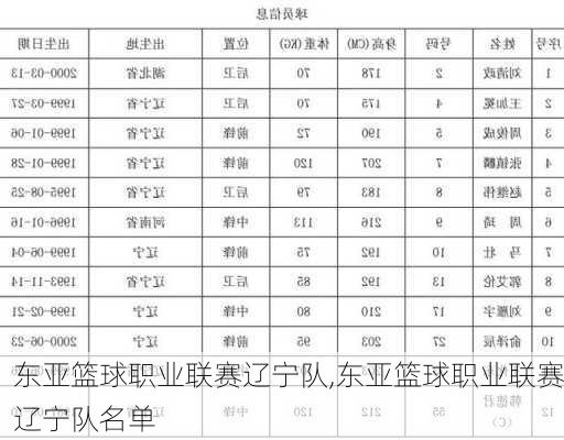 东亚篮球职业联赛辽宁队,东亚篮球职业联赛辽宁队名单