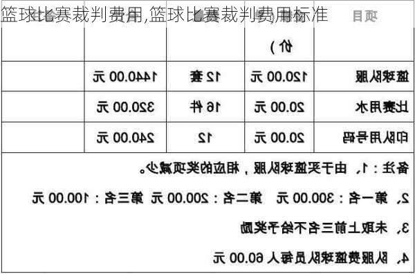 篮球比赛裁判费用,篮球比赛裁判费用标准