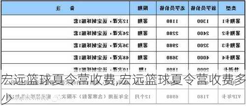 宏远篮球夏令营收费,宏远篮球夏令营收费多少