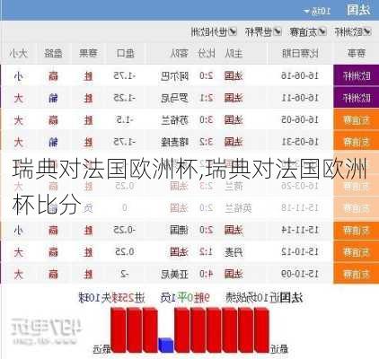 瑞典对法国欧洲杯,瑞典对法国欧洲杯比分