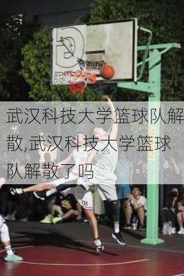 武汉科技大学篮球队解散,武汉科技大学篮球队解散了吗