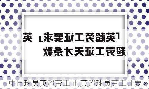 中国球员英超劳工证,英超球员劳工证要求