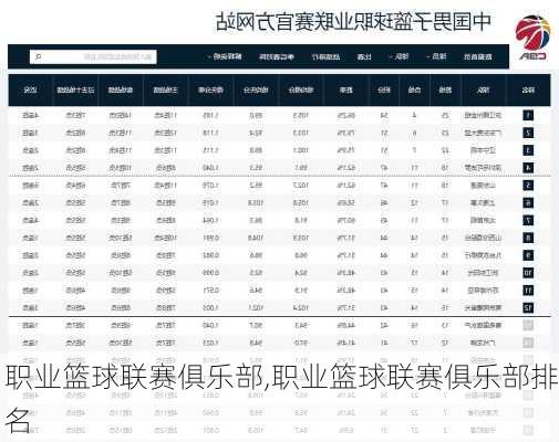 职业篮球联赛俱乐部,职业篮球联赛俱乐部排名