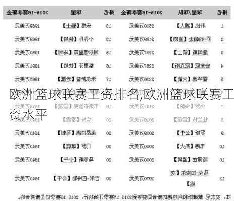 欧洲篮球联赛工资排名,欧洲篮球联赛工资水平