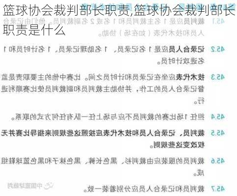 篮球协会裁判部长职责,篮球协会裁判部长职责是什么