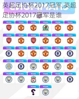 英超足协杯2017冠军,英超足协杯2017冠军是谁