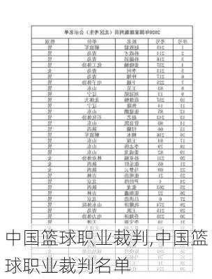 中国篮球职业裁判,中国篮球职业裁判名单