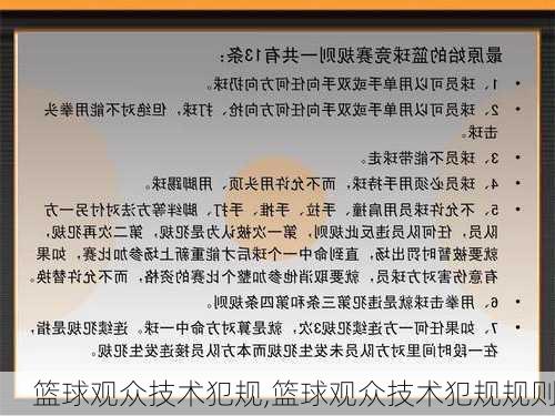 篮球观众技术犯规,篮球观众技术犯规规则