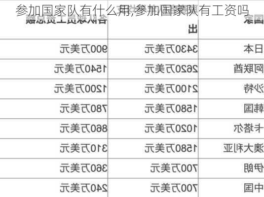 参加国家队有什么用,参加国家队有工资吗