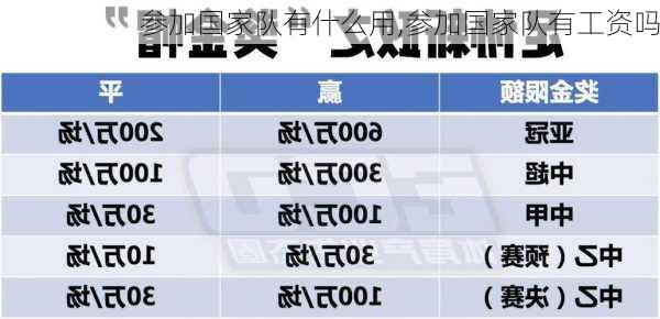 参加国家队有什么用,参加国家队有工资吗