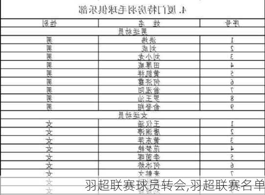 羽超联赛球员转会,羽超联赛名单