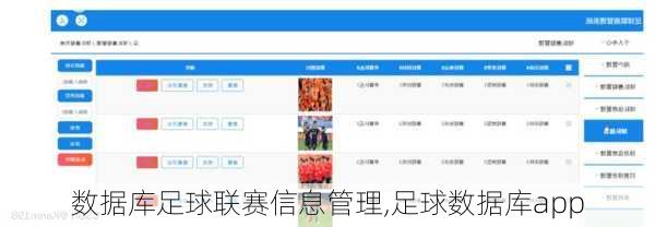 数据库足球联赛信息管理,足球数据库app