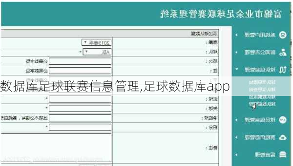 数据库足球联赛信息管理,足球数据库app