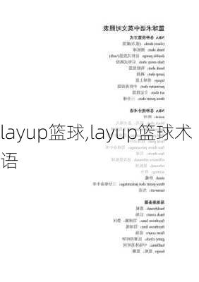 layup篮球,layup篮球术语