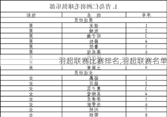 羽超联赛比赛排名,羽超联赛名单