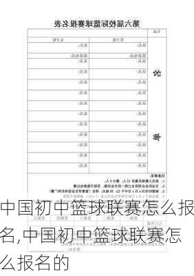 中国初中篮球联赛怎么报名,中国初中篮球联赛怎么报名的