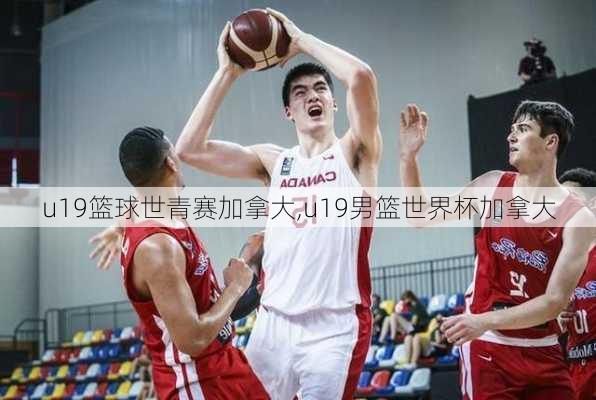 u19篮球世青赛加拿大,u19男篮世界杯加拿大