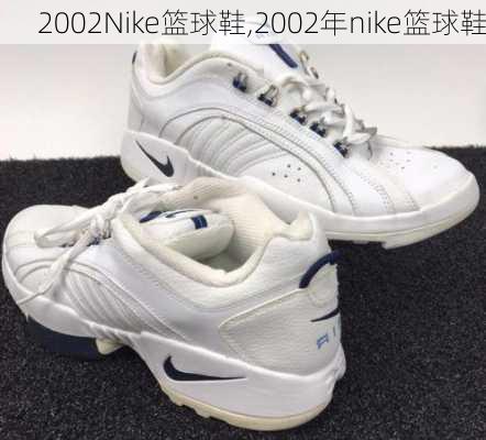 2002Nike篮球鞋,2002年nike篮球鞋