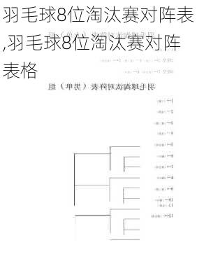 羽毛球8位淘汰赛对阵表,羽毛球8位淘汰赛对阵表格