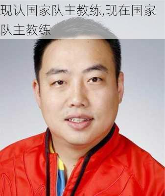 现认国家队主教练,现在国家队主教练