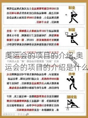 奥运会的项目的介绍,奥运会的项目的介绍是什么