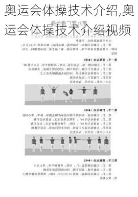 奥运会体操技术介绍,奥运会体操技术介绍视频