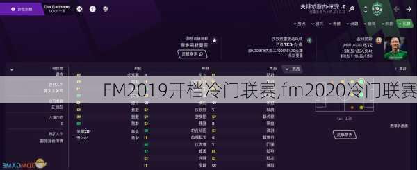 FM2019开档冷门联赛,fm2020冷门联赛