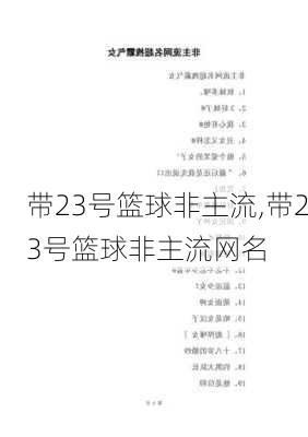 带23号篮球非主流,带23号篮球非主流网名