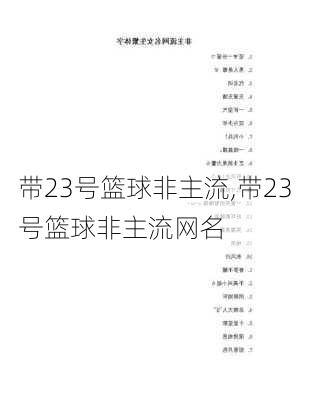 带23号篮球非主流,带23号篮球非主流网名