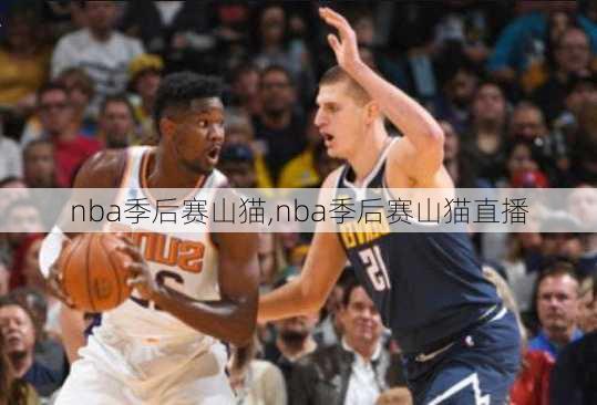 nba季后赛山猫,nba季后赛山猫直播