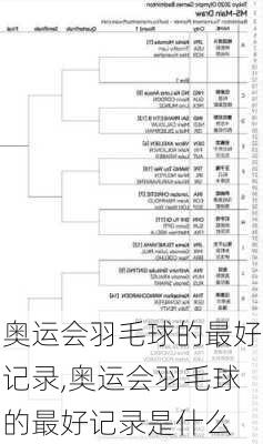 奥运会羽毛球的最好记录,奥运会羽毛球的最好记录是什么