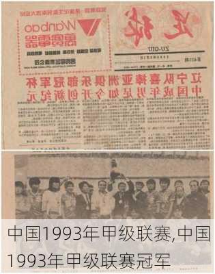 中国1993年甲级联赛,中国1993年甲级联赛冠军