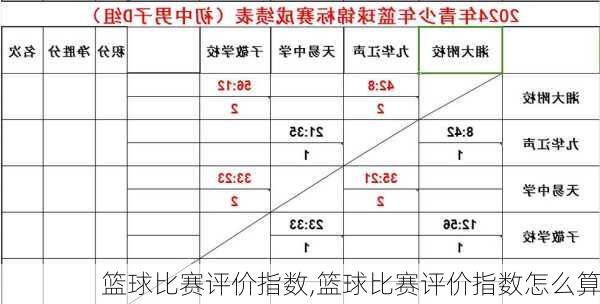 篮球比赛评价指数,篮球比赛评价指数怎么算