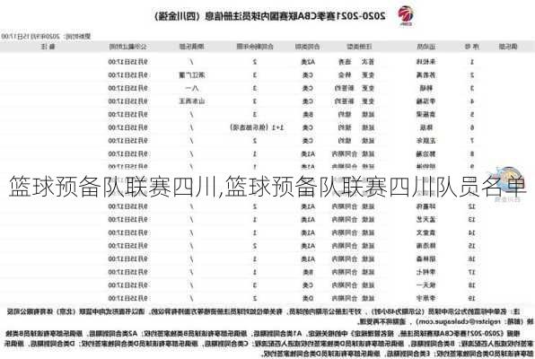 篮球预备队联赛四川,篮球预备队联赛四川队员名单